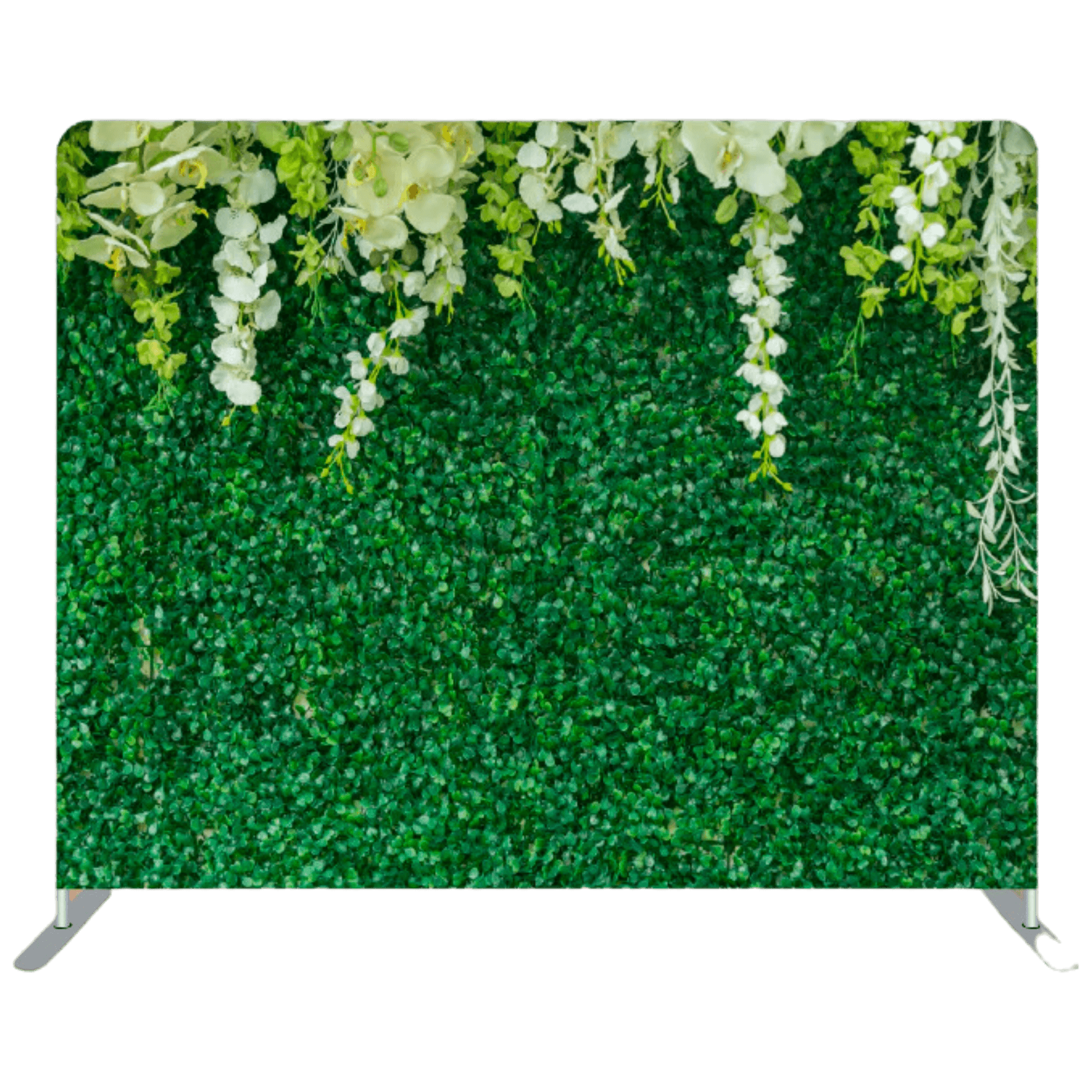 Boxwood Hanging Flowers Backdrop