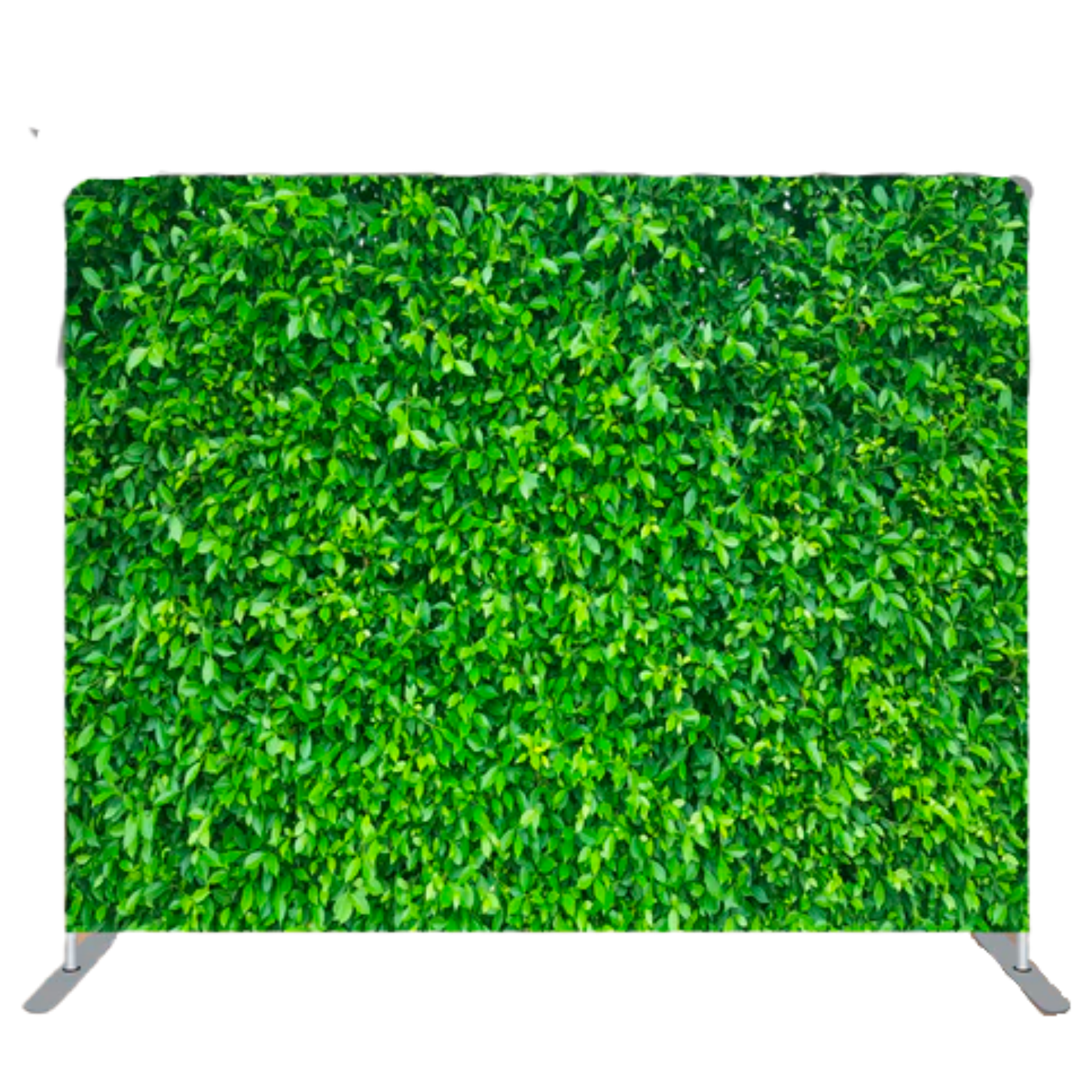 Boxwood Backdrop